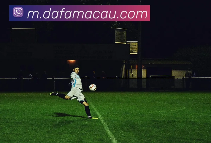 大发娱乐发展历程